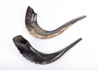 A COLLECTION OF TWO SHOFARS. Israel, 20th century. Each one hand carved in traditional form. 