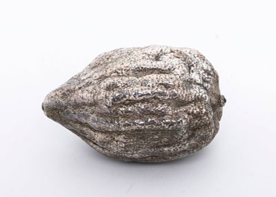 A SILVER ETROG BY SHUKI FREIMAN. Israel, c. 1990. Realistically formed. Molded from a real etrog 
