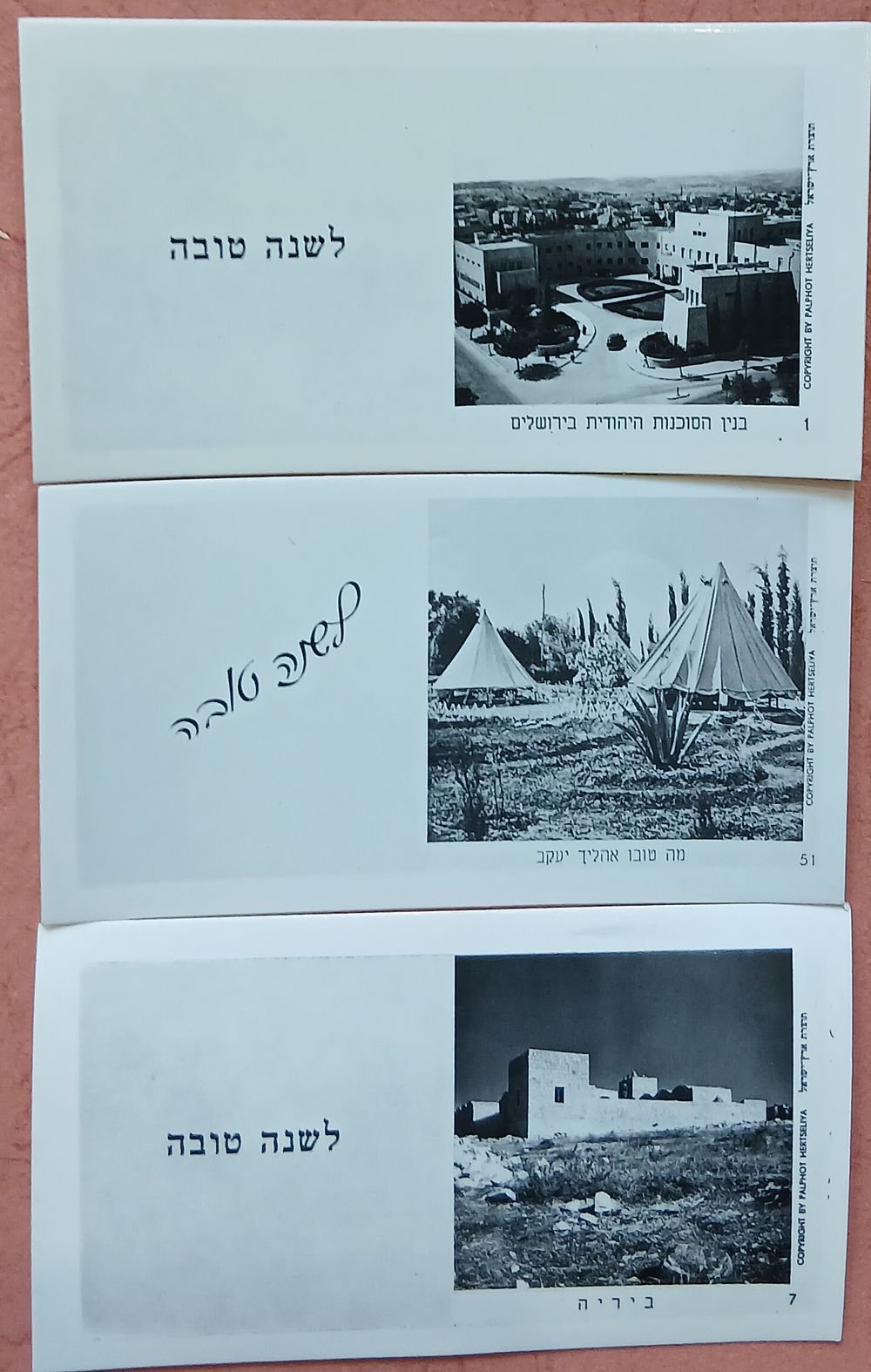 לוט 3 שנות טובות מוקדמות ולא שכיחות תקופת ארץ ישראל פלשתינה