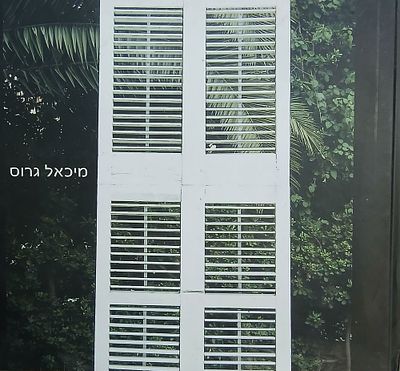 ספר אמנות מיכאל גרוס ספר בהוצאת מוזיאון רמת גן עשיר בתכנים ותמונות