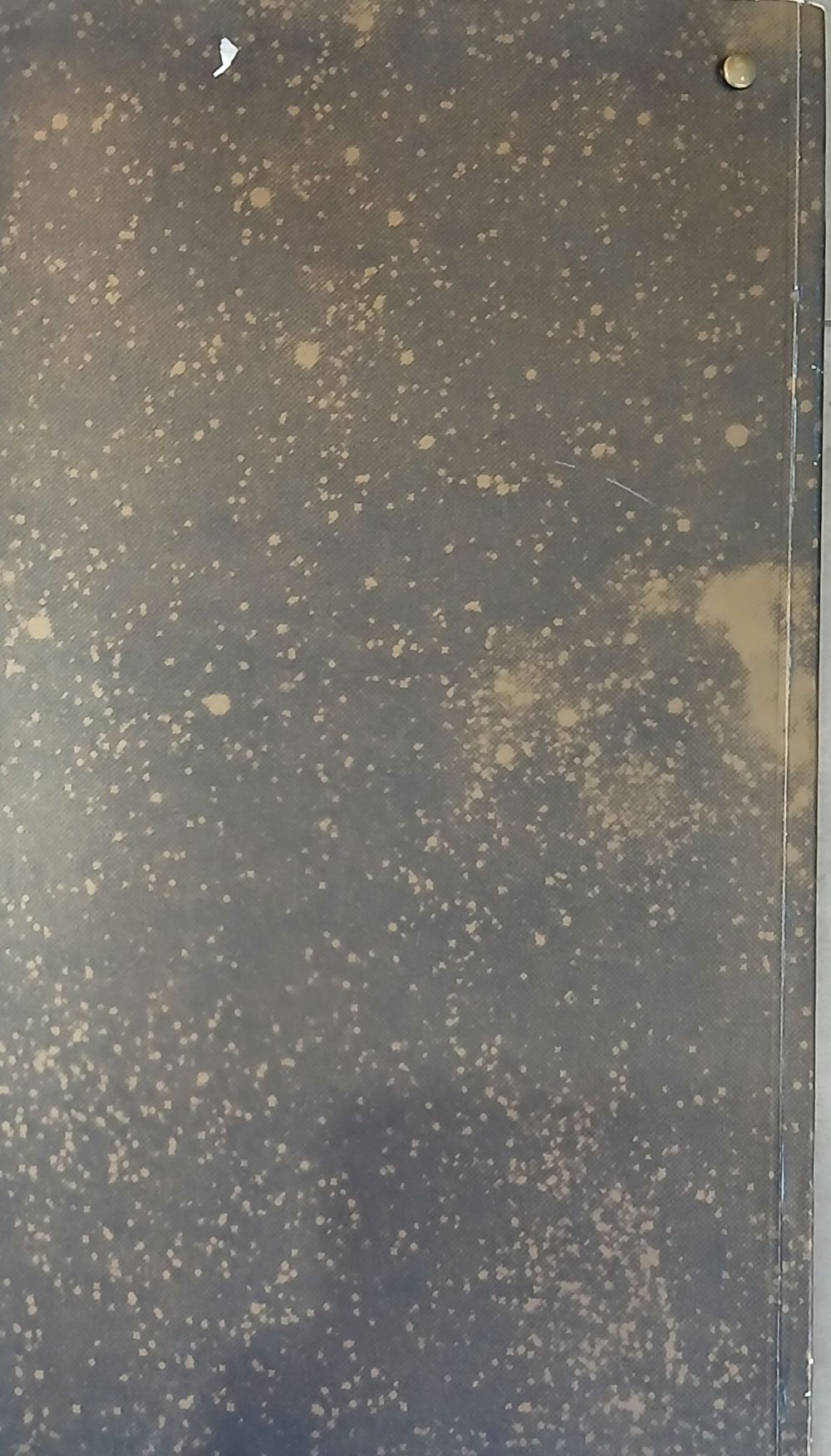 חוברת קטלוג לתערוכת יחיד של האמן בלו-סימיון פיינרו בשם "הלב צריך יותר מקום כדי לנשום" (The 