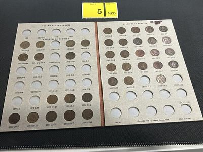 Indian Head penny Lot of 38. 1859 Indian head - 1909