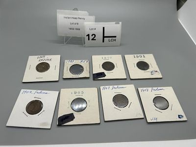 Indian Head Penny Lot of 8. 1859-1908