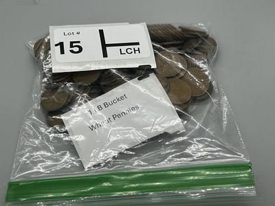 1 LB Wheat Pennies. Unsearched Scooped and weighed out of 5 Gallon Bucket