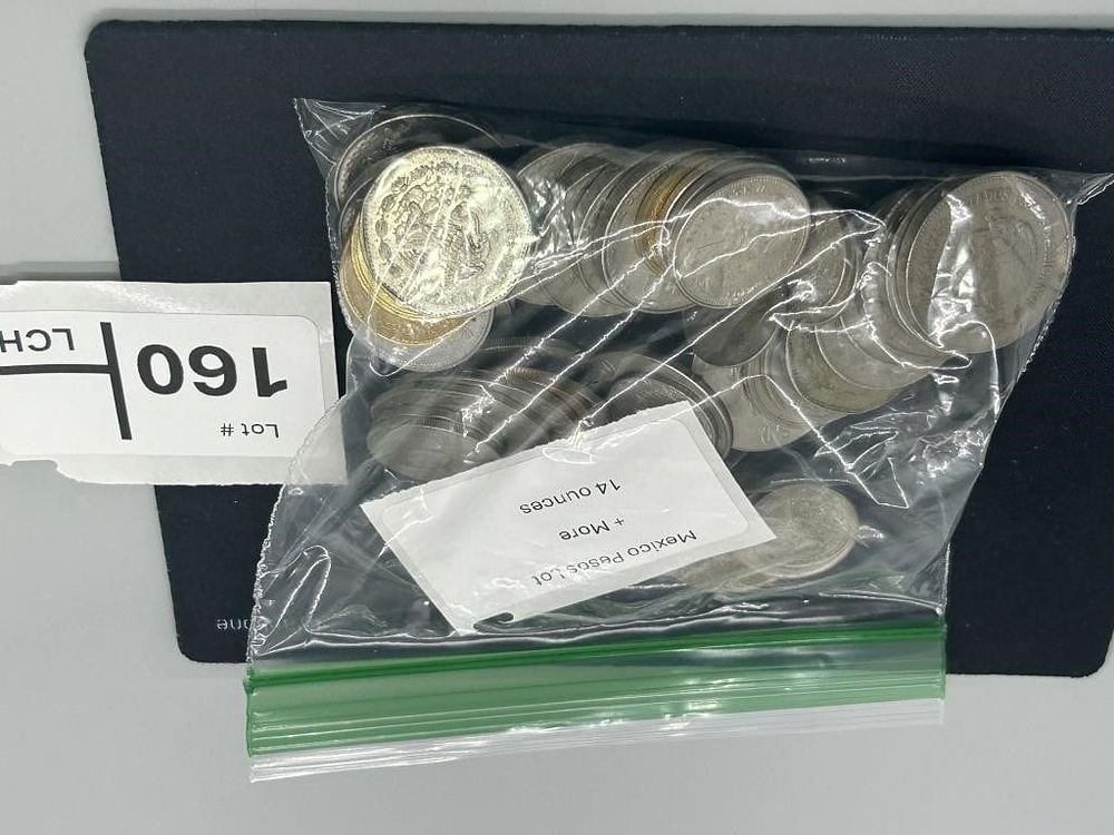 Lot 160: Mexico Pesos Lot