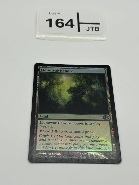 Lot 164: MTG  Lot  - Sets Vary