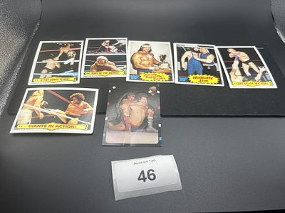 1985 Topps WWF Wrestling Card Lot