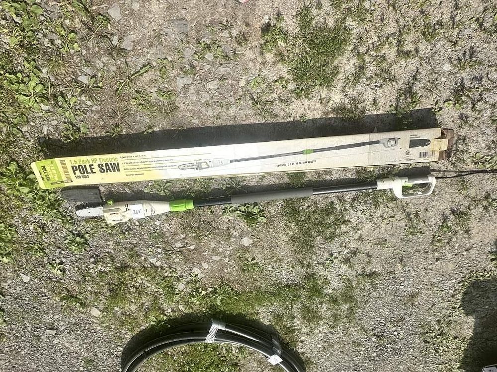 Lot 265: Outdoor Electric Pole Saw