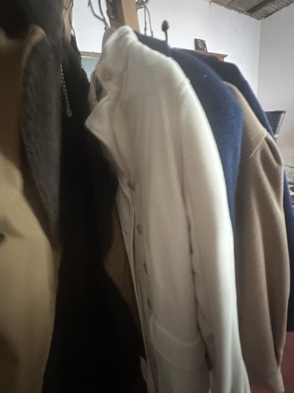 Coat Rack with Misc Coats