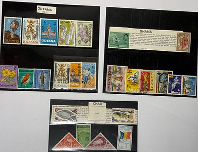 A vibrant and thematically rich collection from three nations spanning South America and Africa 