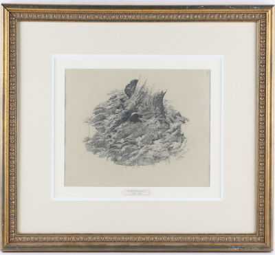 Лагода-Шишкина Ольга Антоновна (1850–1881).
Папоротник у корней деревьев. Лист № 3 из альбома 