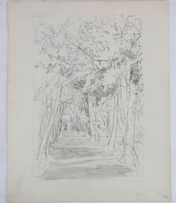 Лагода-Шишкина Ольга Антоновна (1850–1881).
Аллея. Лист № 9 из альбома 22 рисунка. 1878-1879 