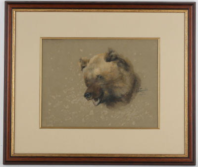 Лебедев Клавдий Васильевич (1852–1916).
Голова медведя. Эскиз. 1911 г. Бумага, акварель 