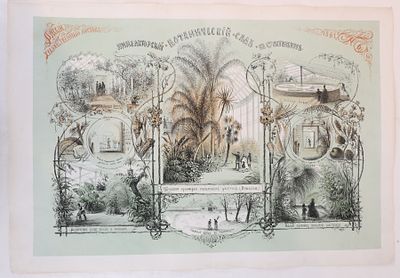 [Русский художественный листок Тимма] Императорский ботанический сад в Санкт-Петербурге. Лист № 