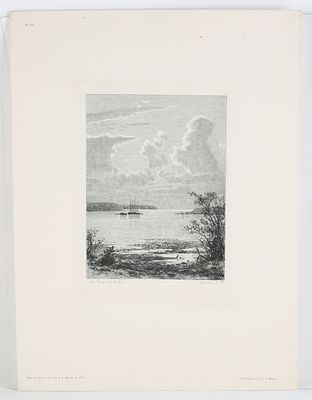 Шишкин Иван Иванович (1832-1898). На Малой Неве. 1886 г.Оттиск 1892 г.Бумага, офорт.Размер 