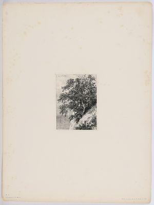 Шишкин Иван Иванович (1832–1898). Скала над морем. 1877 г.Оттиск 1892 г.Бумага, офорт. Оттиск 