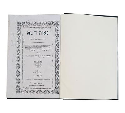 נאות דשא - לעמברג תרכ"א - מהדורה ראשונה - מאת הרה"ק רבי דוד שלמה אייבשיץ זצ"ל בעל 'ערבי נחל'. 