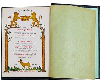 נדפס באמצע השואה האיומה. חסידות - אילה שלוחה. לרבי נפתלי מרופשיץ. בודפשט. תש"ג | 1943. . ספר 