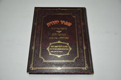 שפתי יהודה
על הספר אמרי יהודה
מאת ר' יהודה סג"ל ראזנער זצוקלה"ה