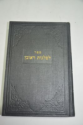 לפלגות ראובן 
חידושים וליקוטים
חלק ב'
לרבי זעליג ראובן בענגיס זיע"א