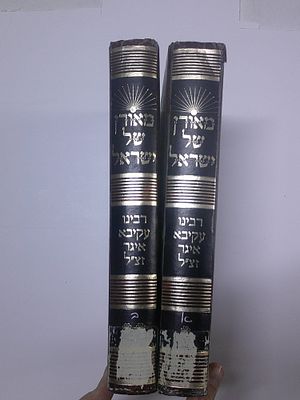 מאורן של ישראל
ב' כרכים
ר' עקיבא איגר זצ"ל
מסכת חייו ופעליו הליכותיו וקצות דרכיו, דברי ימי 