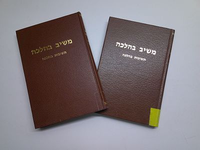משיב בהלכה
ב' כרכים
תשובות בהלכה 
מאת הרב זלמן דרוק
מהדורה שניה מתוקנת 
ירושלים, תש"ס. עותק 