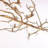 LARGE IRON MULTI LIGHT CHANDELIER BY PAUL FERRANTE. Large iron multi light branch form Image - 4