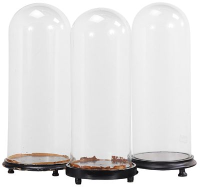 THREE ANTIQUE GLASS DOME DISPLAYS FOR CLOCKS OR SCULPTURES C 19TH CENTURY. Three antique glass 