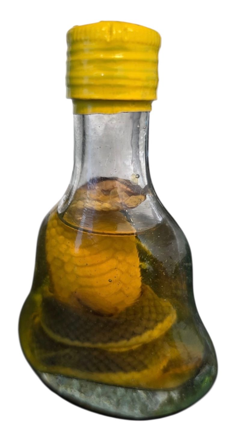 יין מיניאטורה - נחש - סין 
יין אורז סיני - מיוצר מהשריית נחש שלם באלכוהול - סגולה ברפואה הסינית