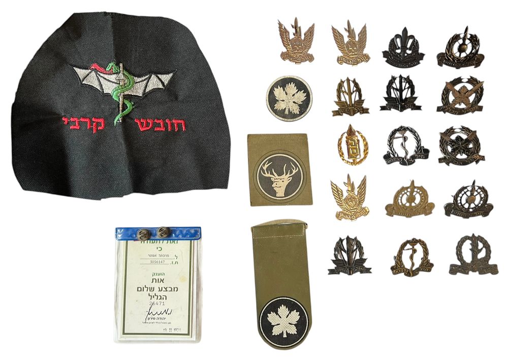 צהל - לוט 21 פריטים /סמלי כובע/סיכות, תגי כתף 
יחידות צה"ל וחיילות שונים. 
סיכות של חילות 