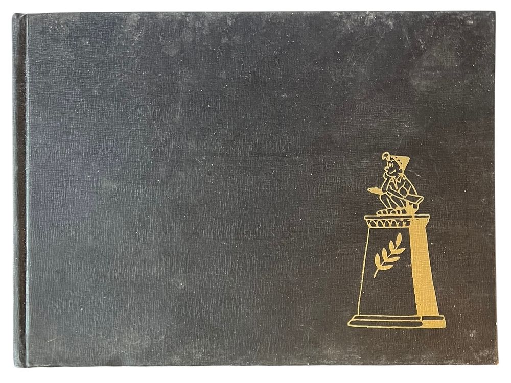 ספר קריקטורות פוליטי -SO SORRY WE WON 
תרגום לאנגלית מהספר הישראלי הקלאסי "סליחה שניצחנו" 
מאת 