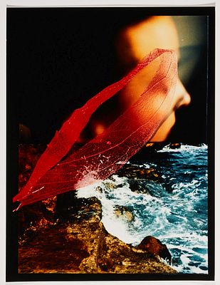 Cécile Bauer 1941 Düsseldorf - Angelina - (1992) C-Print/Fujichrome Paper. 40.5 x 31 cm. Verso 