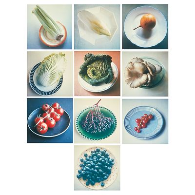 Thomas Bachler 1961 Detmold - "On the Plate" - (1996/97) 10 Polaroid prints/photographic paper. 