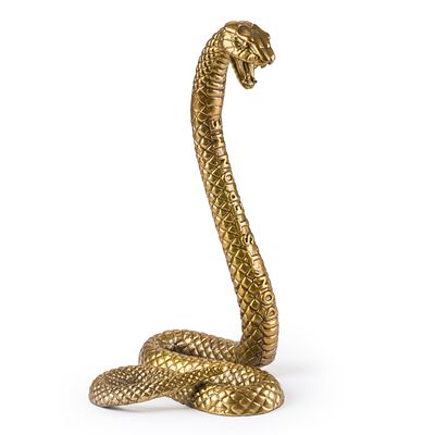 Wunderkammer: Snake "Don't step on me" - Diesel Living, Seletti. Wunderkammer: Snake "Don't step 