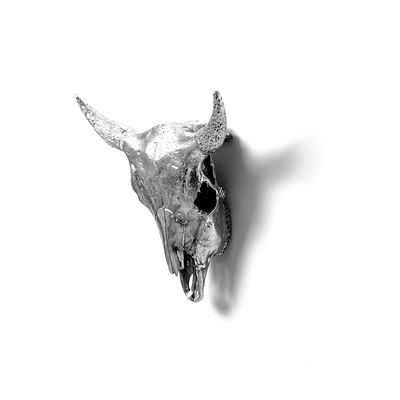 Wunderkammer: Bison Skull - Diesel Living, Seletti. Wunderkammer: Bison Skull - Diesel Living 