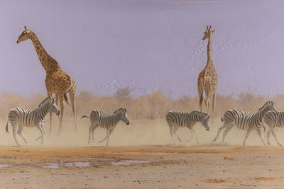 Kim Donaldson (South Africa, b. 1957), Pastel, Waterhole Nerves, Giraffes and Zebras. Signed. 