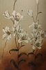Antique Victorian Aesthetic Movement 3 Panel Hand Painted Room Divider. An antique Victorian Image - 4