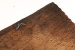 17th C English Jacobean / Charles II Carved Oak Coffer Box. A 17th-century English Jacobean or Image - 11