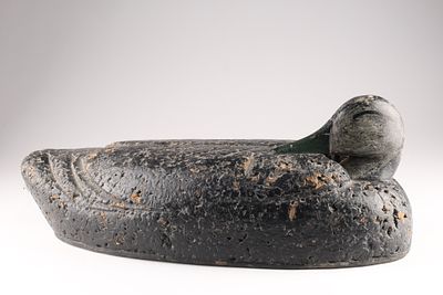 Antique Cork and Wooden Sleeping Black Duck Decoy with wood head and cork body measuring 18 