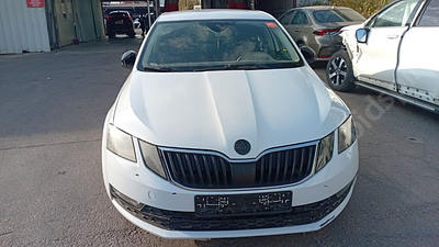 סקודה אוקטביה החדשה מודל 2017. מפתח: יש.