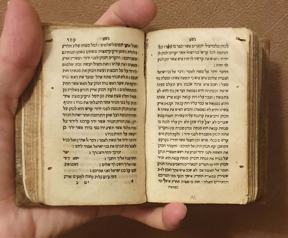 מיניאטורי. חמשה חומשי תורה - סביוניטה שי"ד | 1544 - כריכת קלף מקורית. 
חמשה חומשי תורה עם 