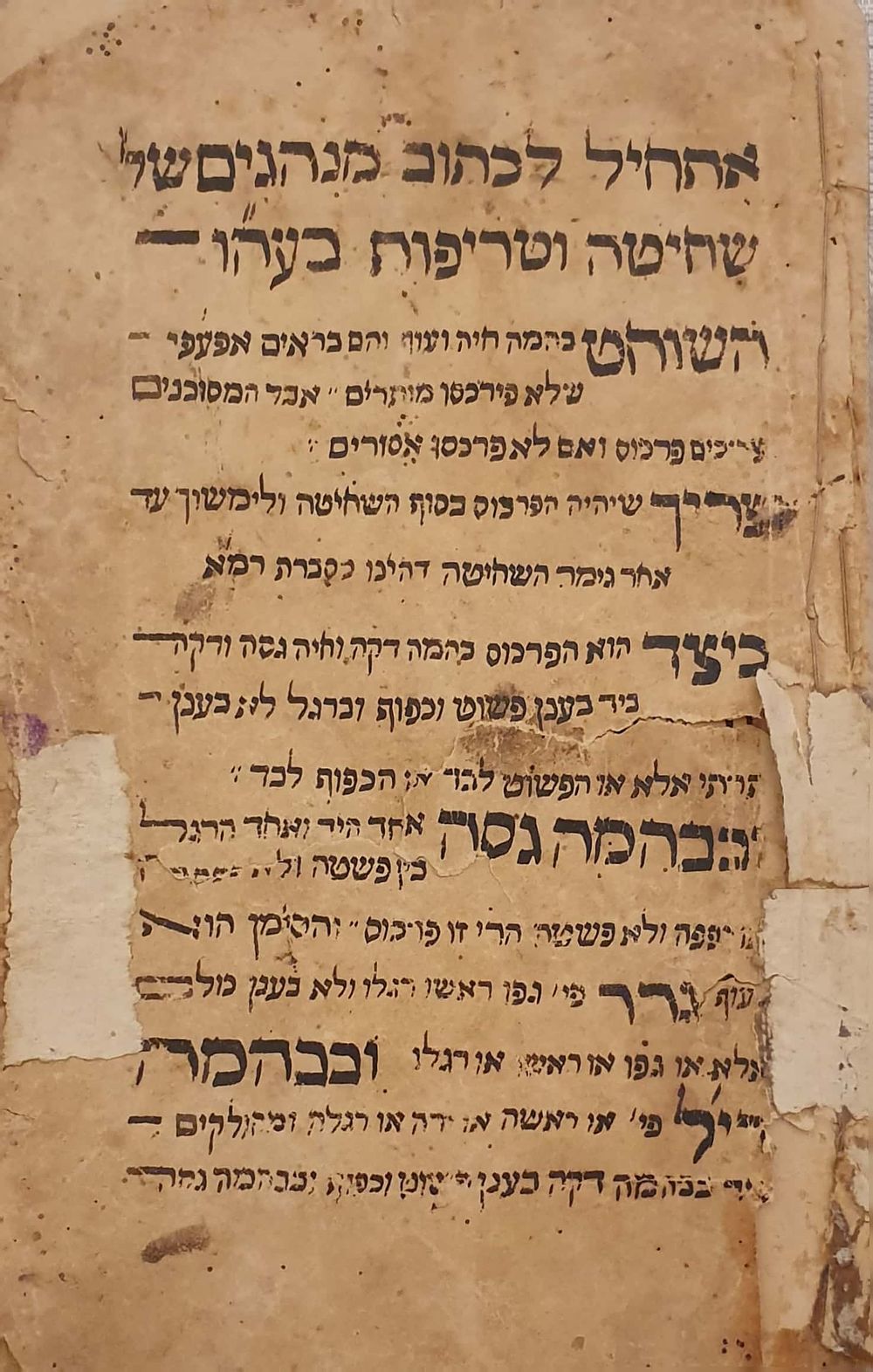 כתב יד תימני - הלכות שחיטה. 
כתב יד תימני עתיק, הלכות שחיטה וטריפות. 
14 דף [28 עמודים 