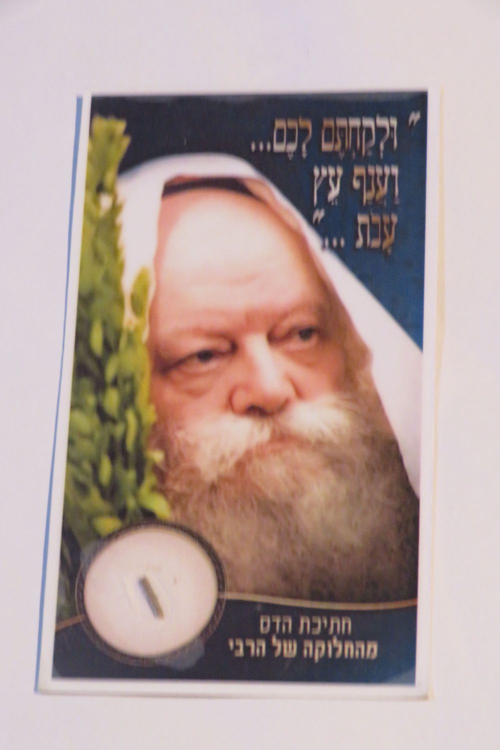 מיוחד! חפץ של קדושה ומצוה: עלי הדס וענף מהרבי -