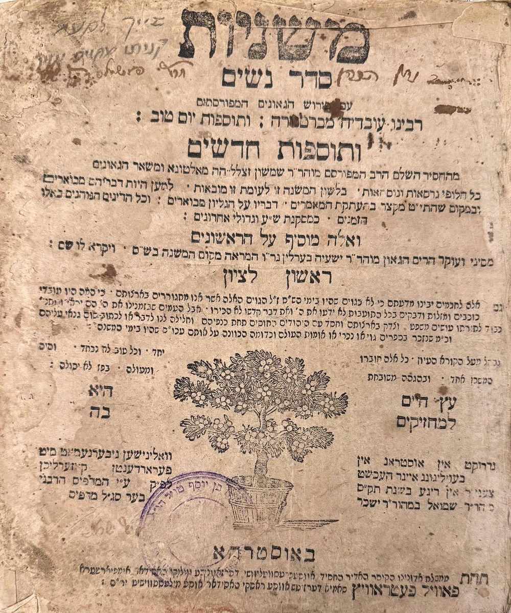 שלושה כרכי משניות - אוסטרהא אמצע הת"ק - חתימות והגהות מעניינות. 
סדר נשים שלם במצב טוב עם מעט 