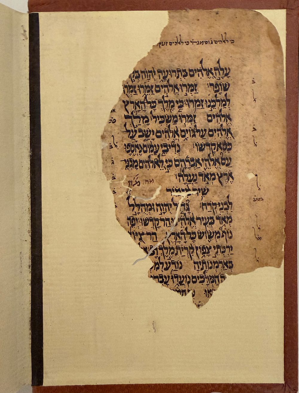 תכלאל ירושלים - פקסמיליה - חלקי כתבי יד עתיקים ביותר. 
פקסמיליה של תכלאל צבעוני שנכתב 