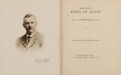 Nicoll’s Birds of Egypt – מגדיר ציפורים, עם לוחות צבעוניים ואיורים – לונדון, 1930. Nicoll’s 