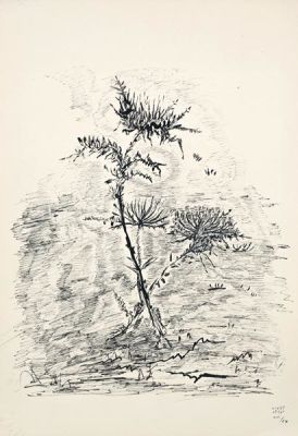 Leah Goldberg (1911-1970). 1. Thistles / 1967 / Ink on paper / 50*34.5 cm / With a signed and 