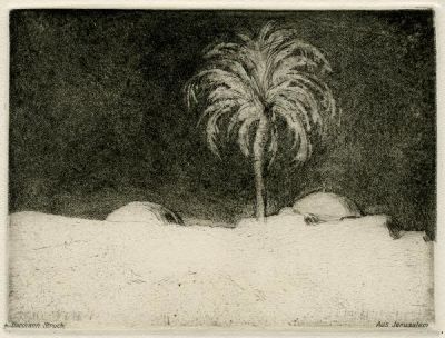 Artists' Gift to the 12th Zionist Congress. Artists' gift to the 12th Zionist Congress / Berlin 