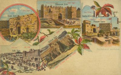 Two Albums of Pressed Flowers – Landscapes of Palestine – Olivewood Bindings. Two albums of 