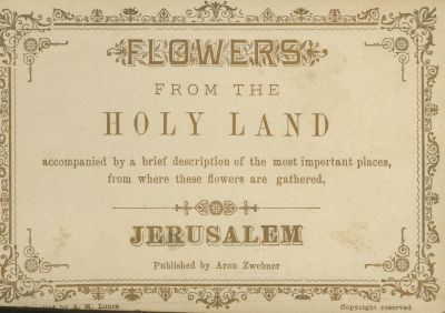 Abraham Moses Luncz – Three Albums of Pressed Flowers / Two Palestine Almanacs and the Work 